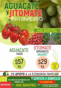 Aguacate y jitomate organico