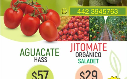 Aguacate y jitomate organico