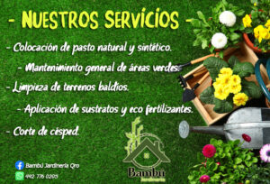 Servicios Bambú Jardinería