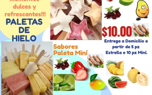 Deliciosas Paletas de Frutas Naturales