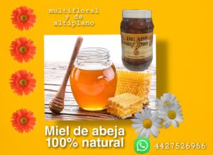 Miel 100 % Natural