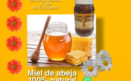 Miel 100 % Natural